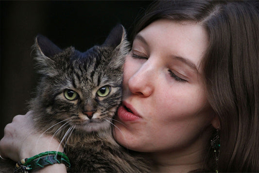 travel with your cat