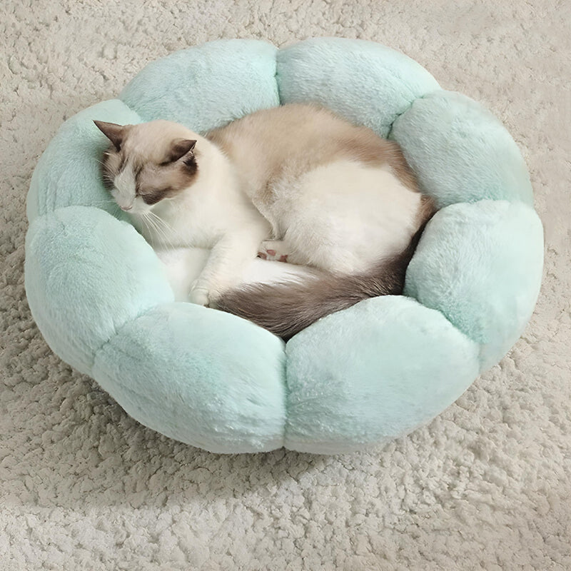 soft cat bed - Cute Cats Store