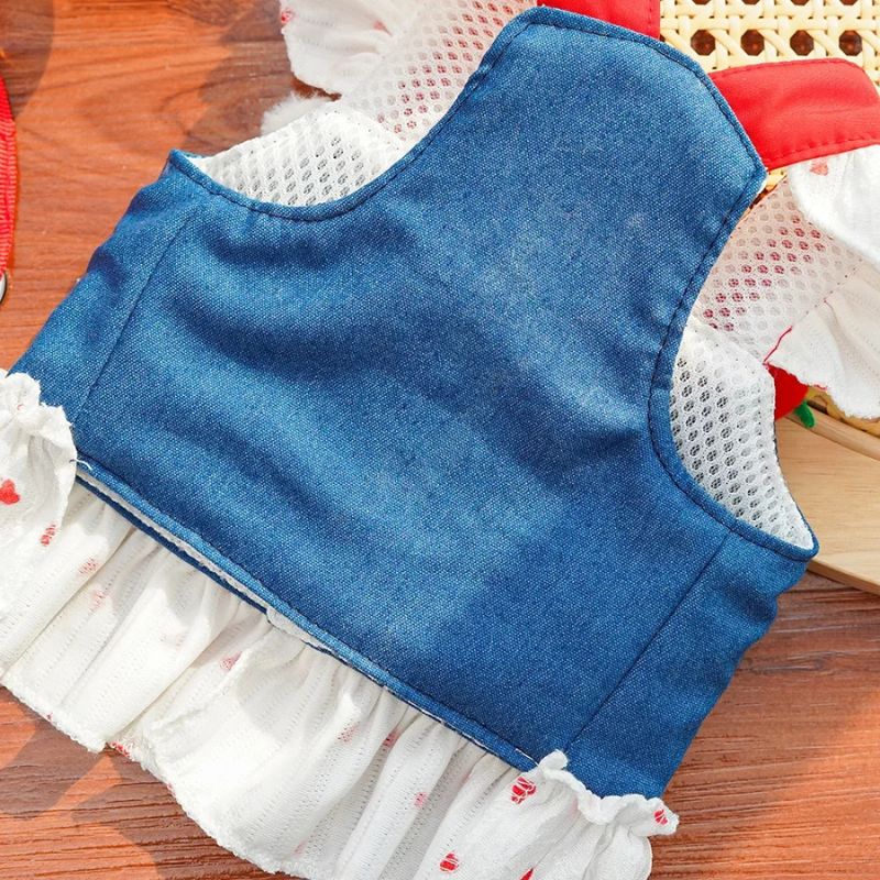 Blue denim cat dress with white ruffled trim on a wooden surface