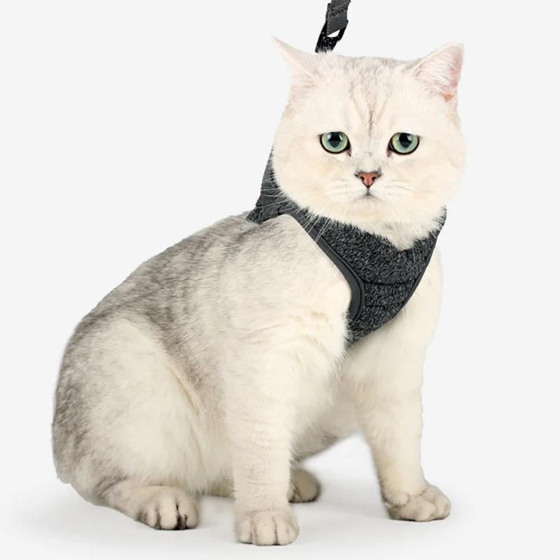 cat harness and leash - Cute Cats Store