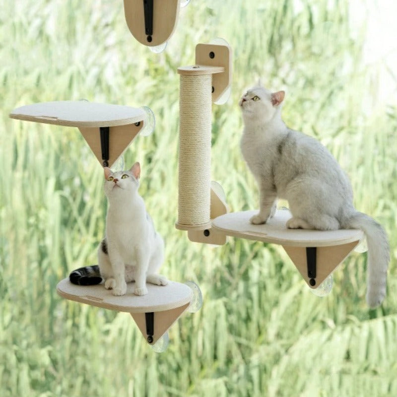 cat window shelves - Cute Cats Store