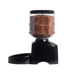 automatic cat feeder - Cute Cats Store