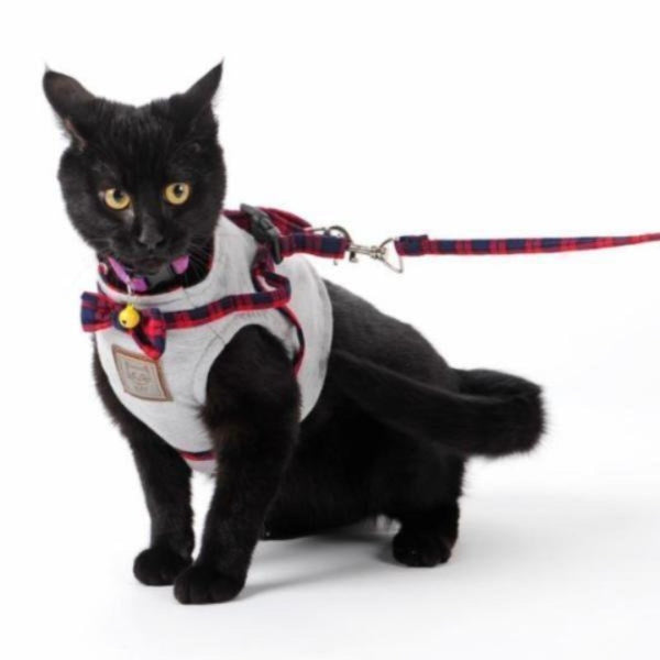 Cat Walking Vest Harness Adjustable Leash Cat Jacket Cute Cats Store