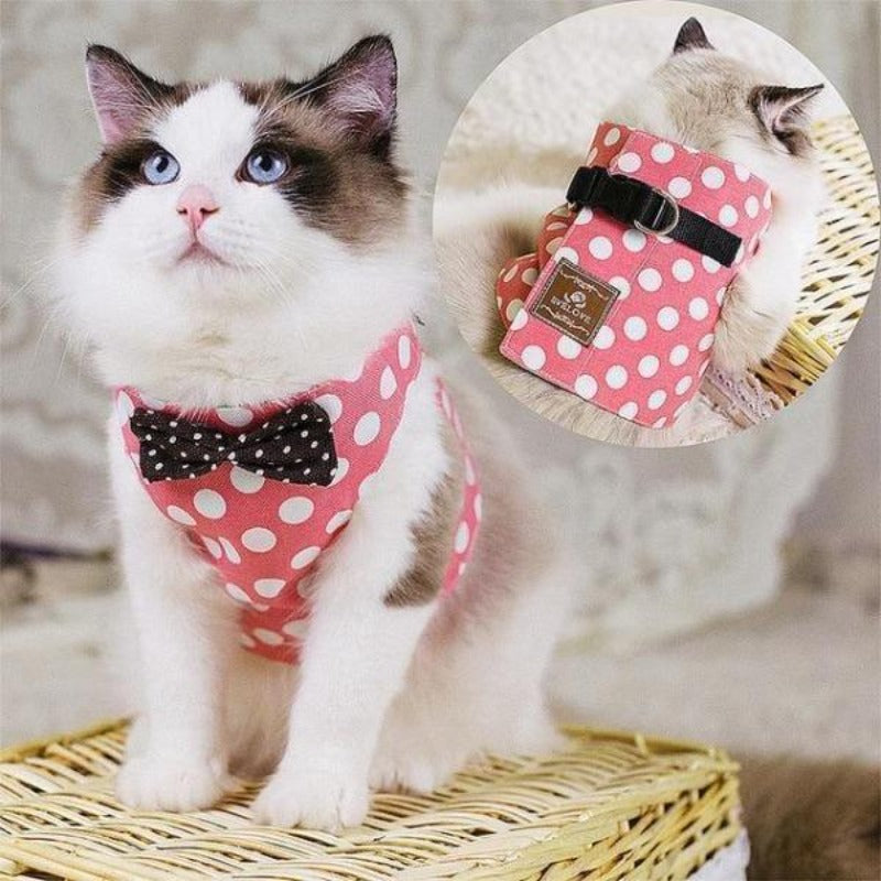 Stylish Kitty with Polka Dot Escape Proof Cat Harness and Leash