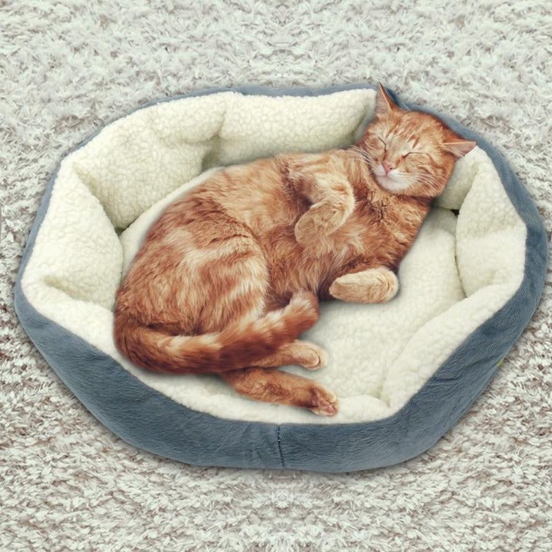 kitty bed - Cute Cats Store