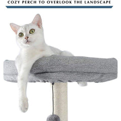 Cat Play House - Cute Cats Store
