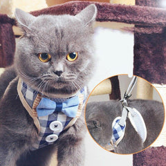 cat vest - Cute Cats Store