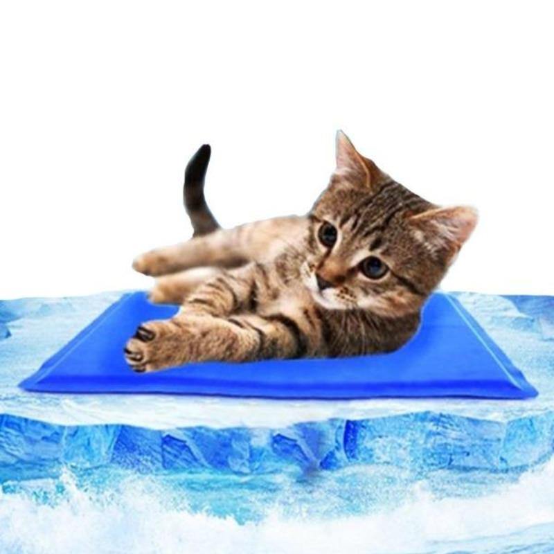The Best Cat Cooling Mats and Pads To Help Your Kitty Chill