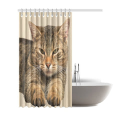 cat Shower Curtain - Cute Cats Store