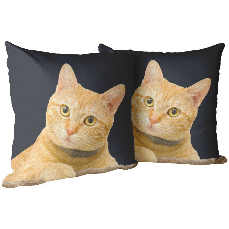 decorative cat pillow - Cute Cats Store