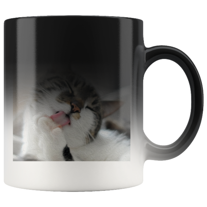 cute cat mug - Cute Cats Store