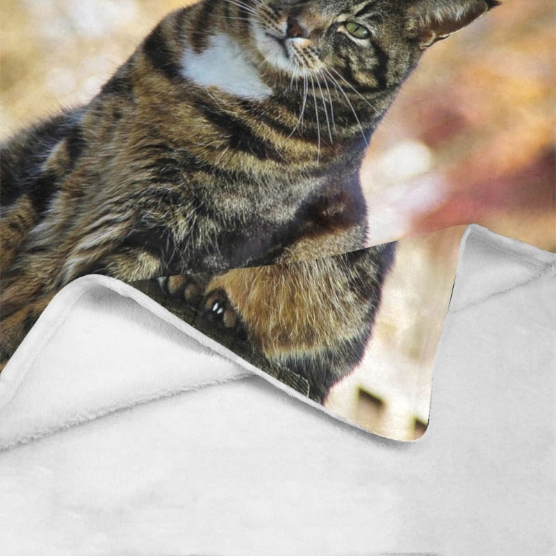 fleece blanket with cats - Cute Cats Store