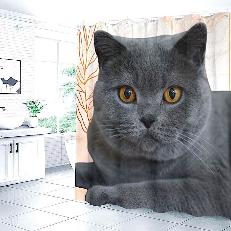 Gray cat on a shower curtain with a bathroom setting