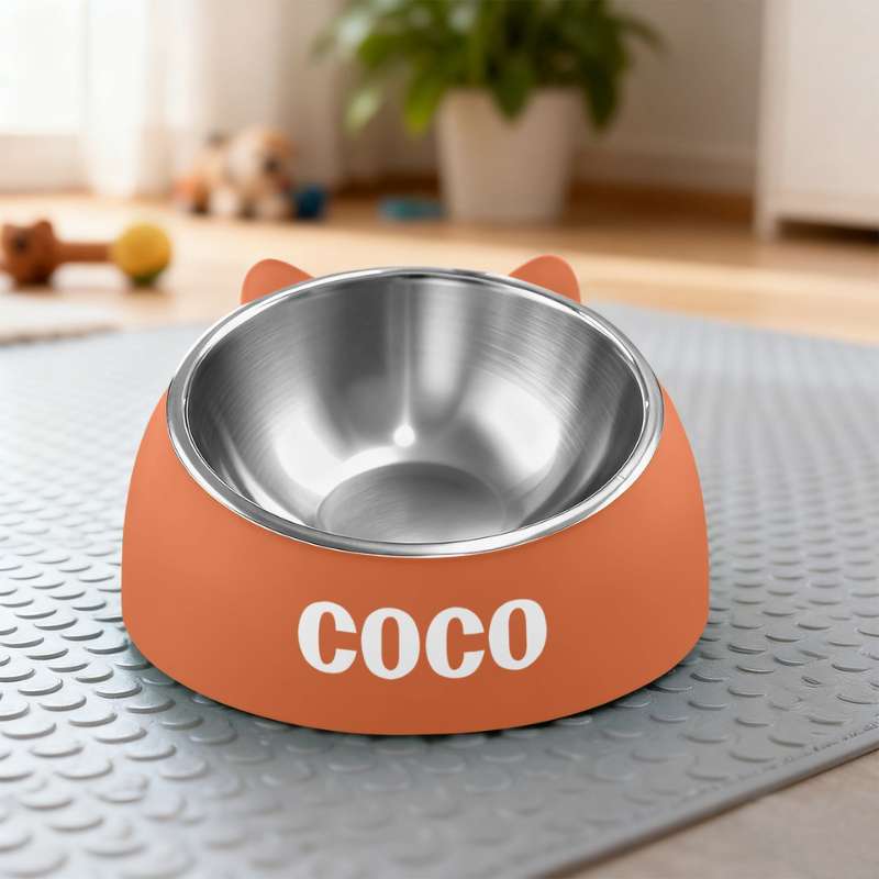 Custom Cat Name Bowl Pet Personalized Gift