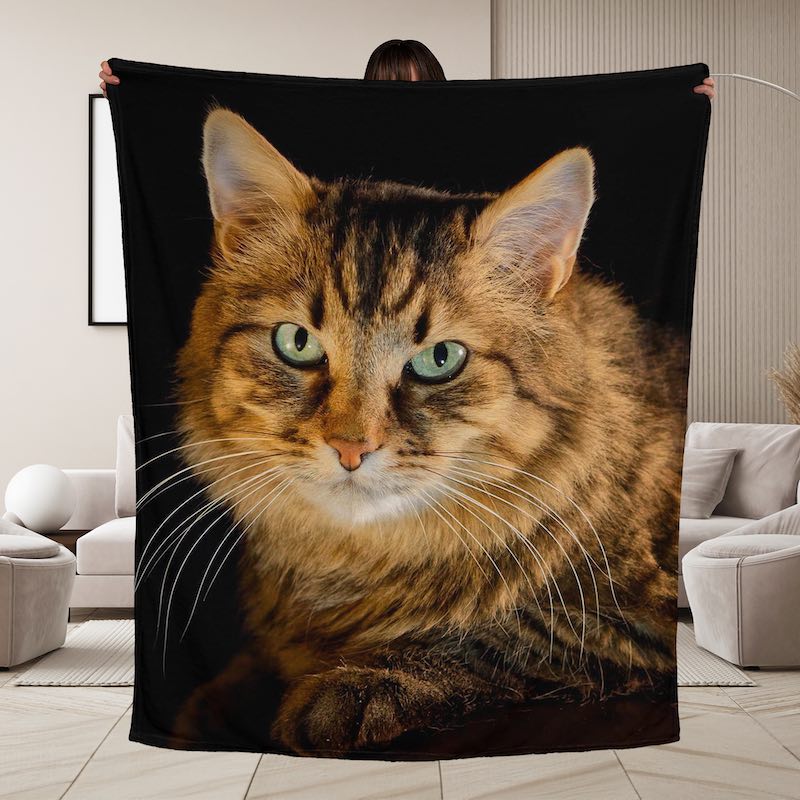 A person holds up a large black blanket or throw featuring a close-up printed image of a brown tabby cat with green eyes, shown in a modern living room setting.