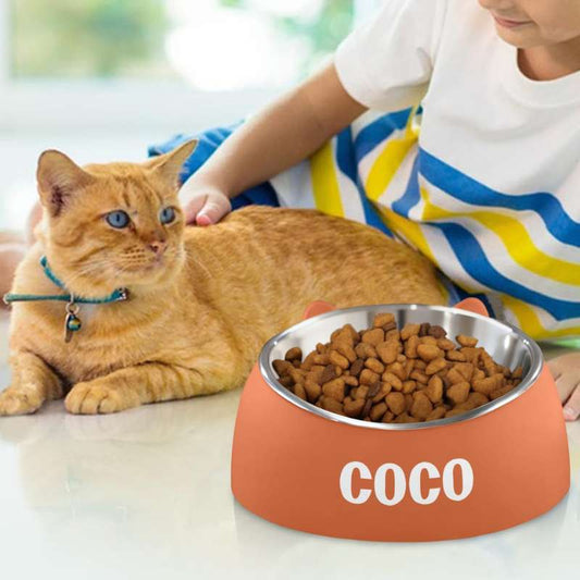 Custom Cat Name Bowl Pet Personalized Gift