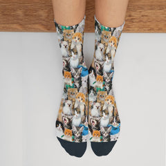 Cute Cat Socks - Cute Cats Store