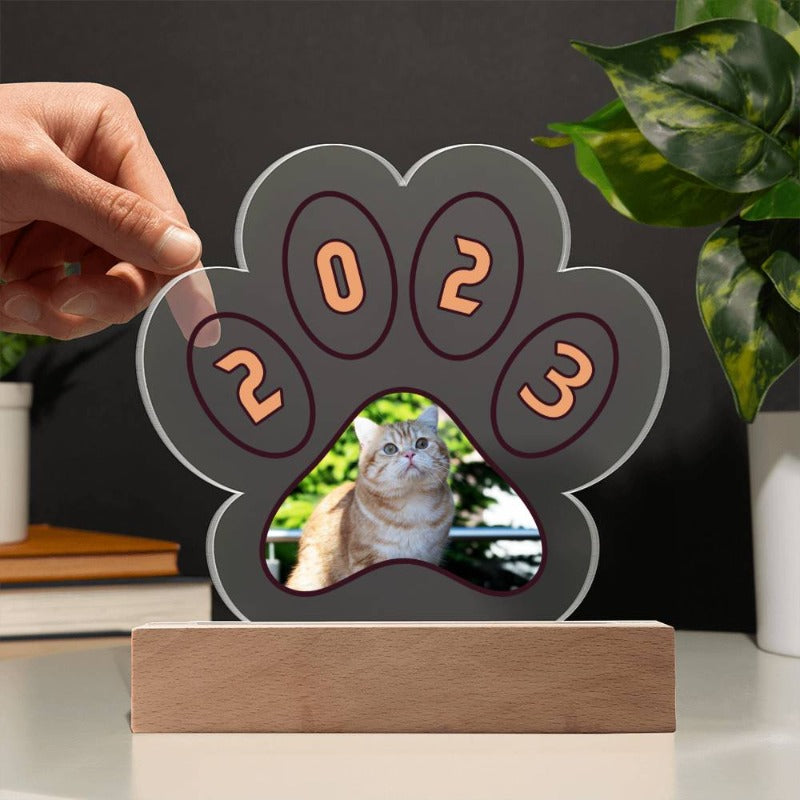 Cat Gifts For Cat Lovers - Cute Cats Store