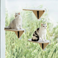 cat shelves - Cute Cats Store