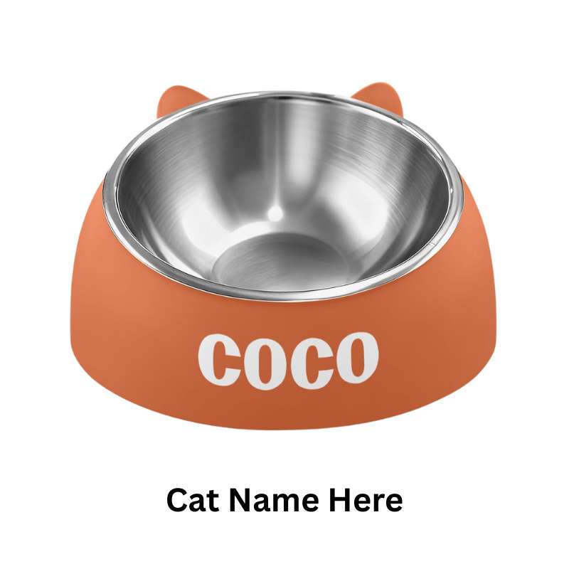 Custom Cat Name Bowl Pet Personalized Gift