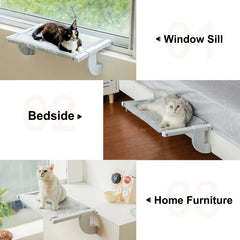 cat window hammock - Cute Cats Store