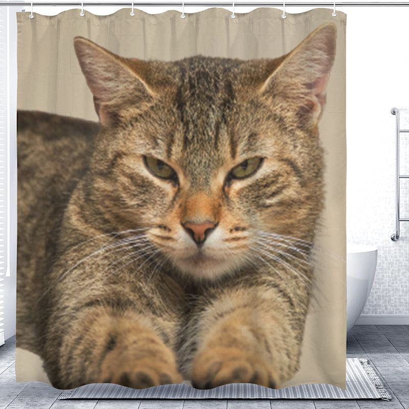Shower curtain with a cat design in a bathroom setting