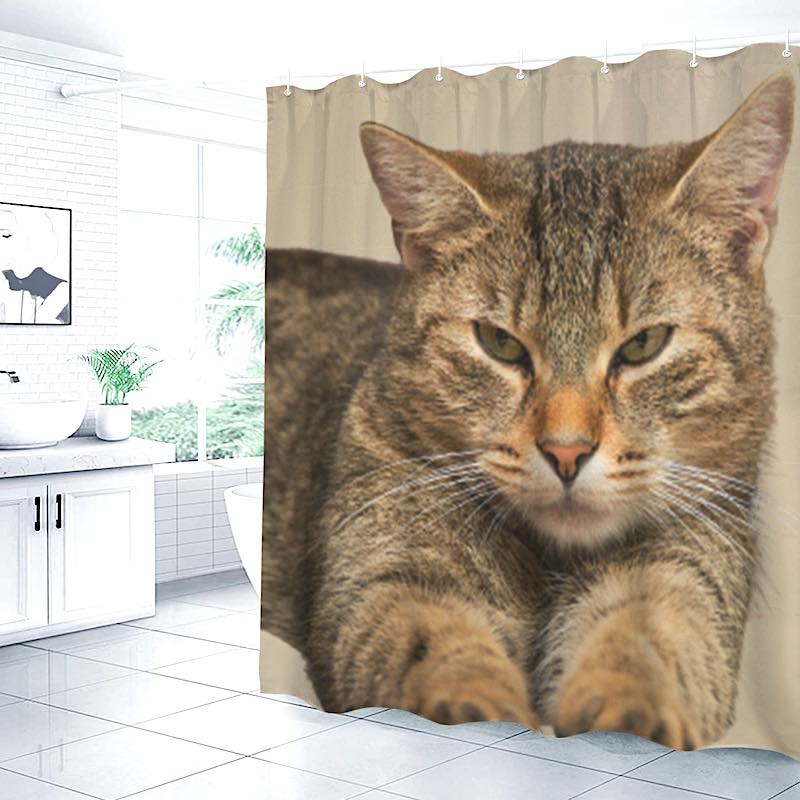 Shower curtain with a cat design in a bathroom setting