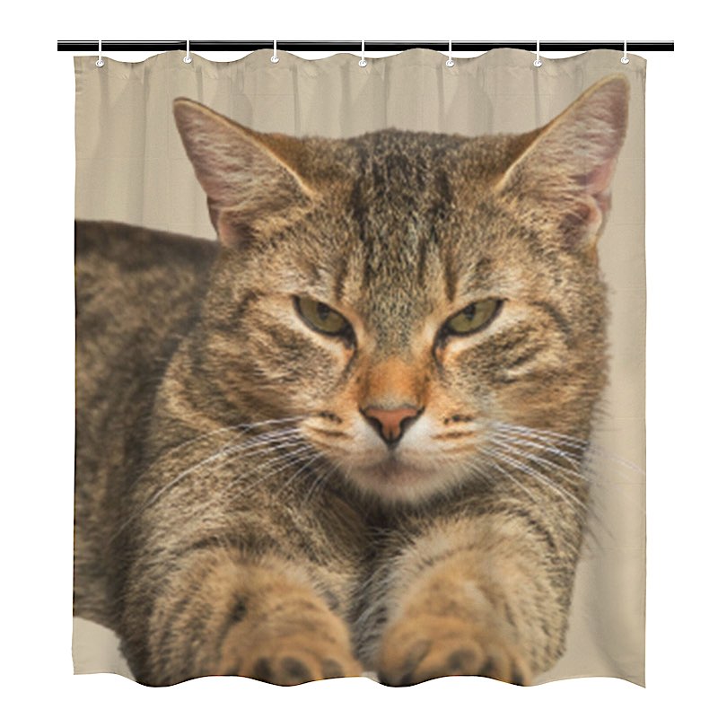 Shower curtain with a tabby cat design on a beige background