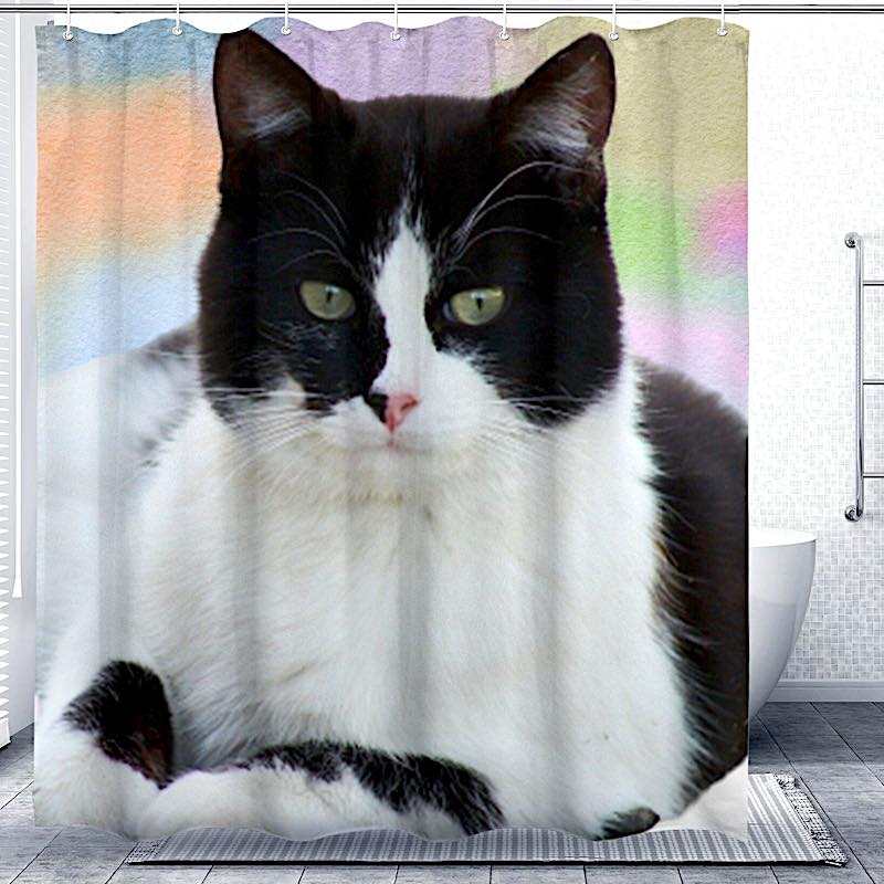 Shower curtain with a black and white cat design in a bathroom setting.