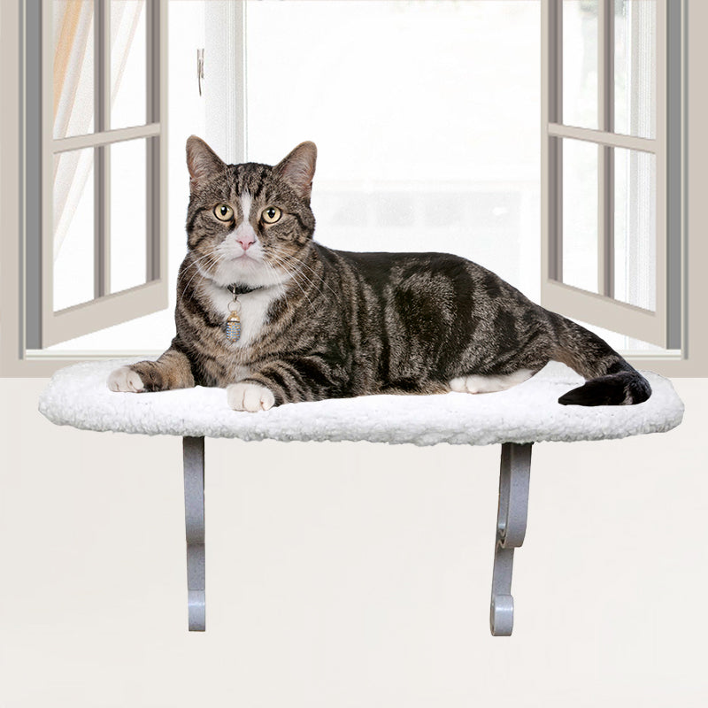 hanging cat bed - Cute Cats Store