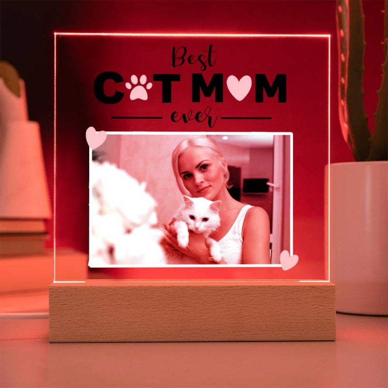 Custom Acrylic Plaque - Cute Cats Store
