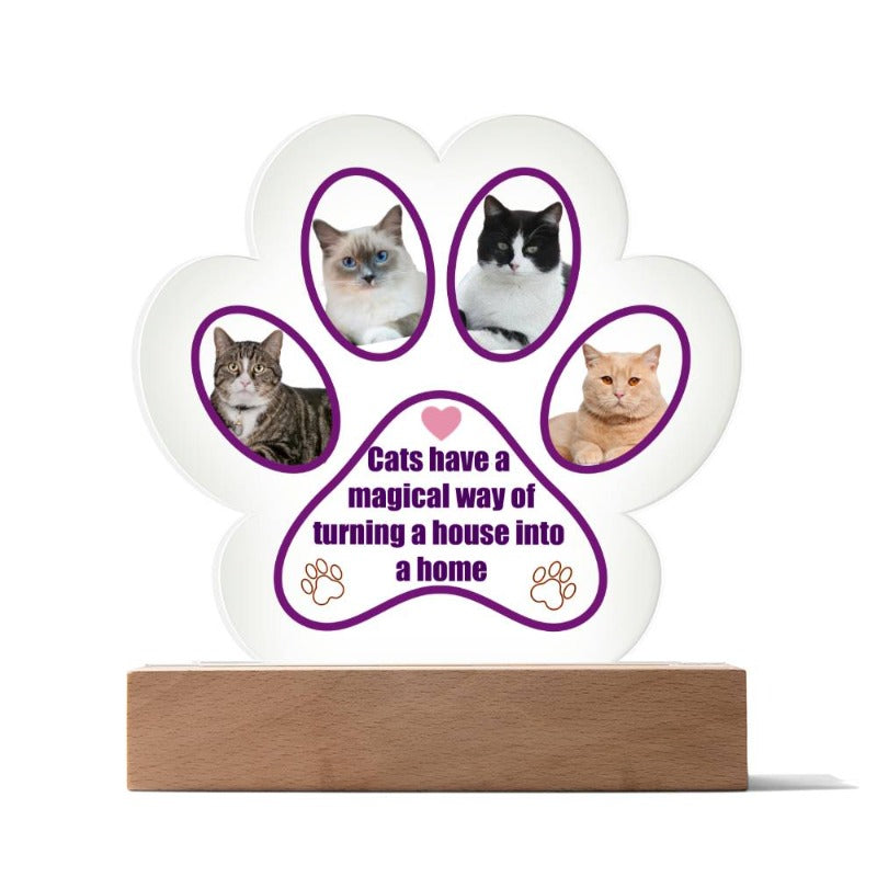 acrylic cat plaques - Cute Cats Store