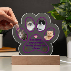Cat Acrylic Plaque - Cute Cats Store