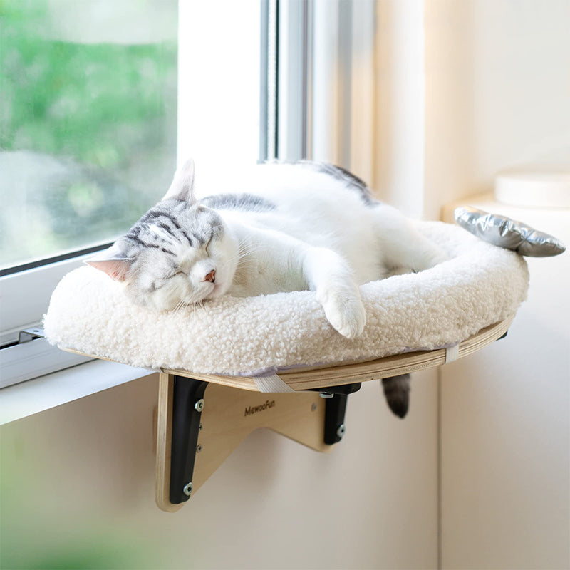cat hammock window - Cute Cats Store