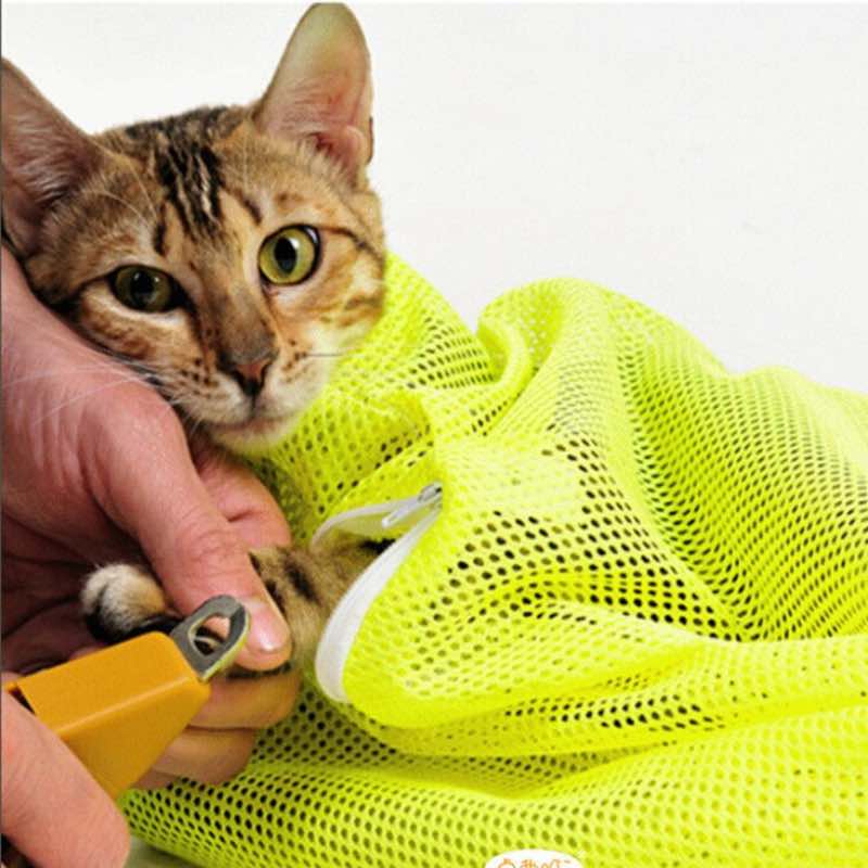 Cat wearing a yellow mesh pet grooming bag with a person cutting the cat nails.