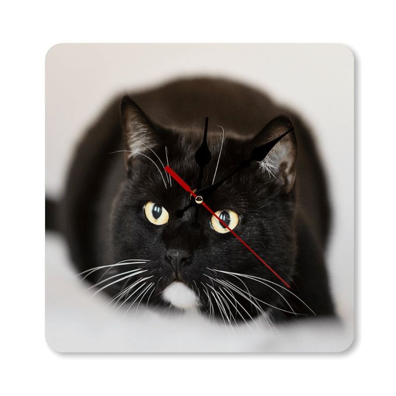 Black cat clock with red second hand on a white background