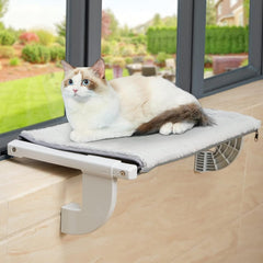 cat bed window - Cute Cats Store