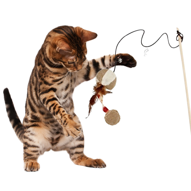 cat toy wand - Cute Cats Store