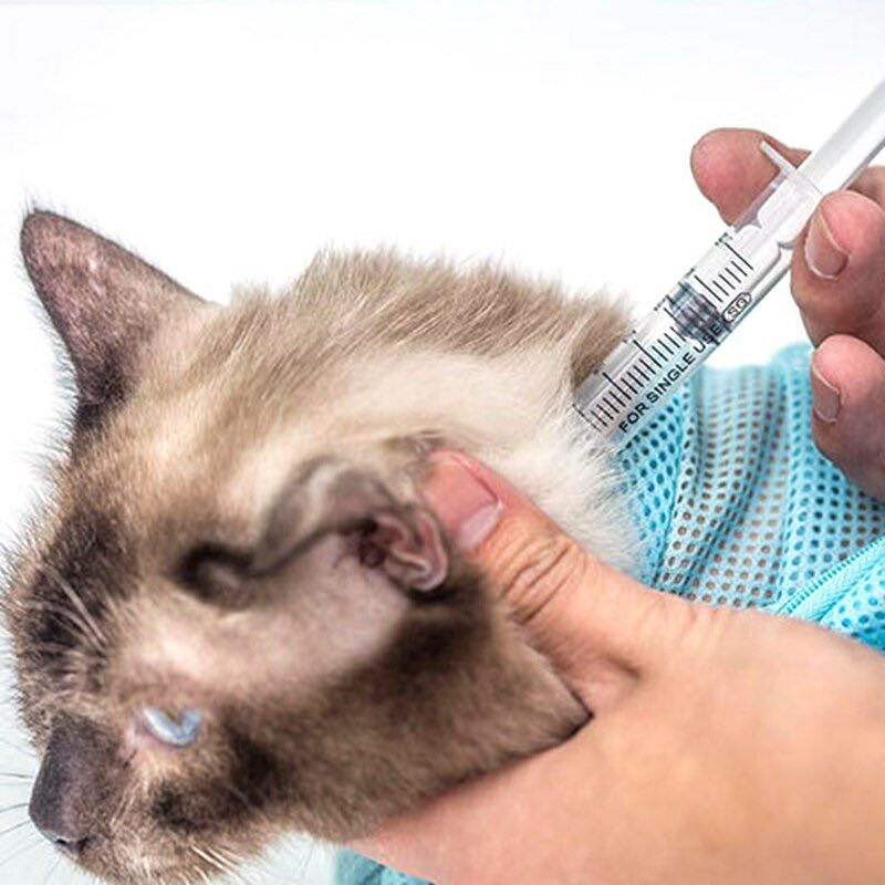 Cat in a  mesh grooming bag receiving an injection with a syringe held by a person.