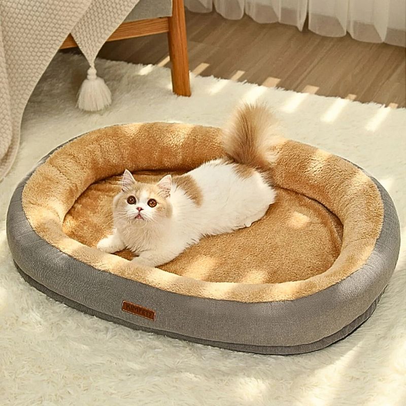 cat bed - Cute Cats Store
