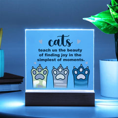 cat paw acrylic plaque - Cute Cats Store