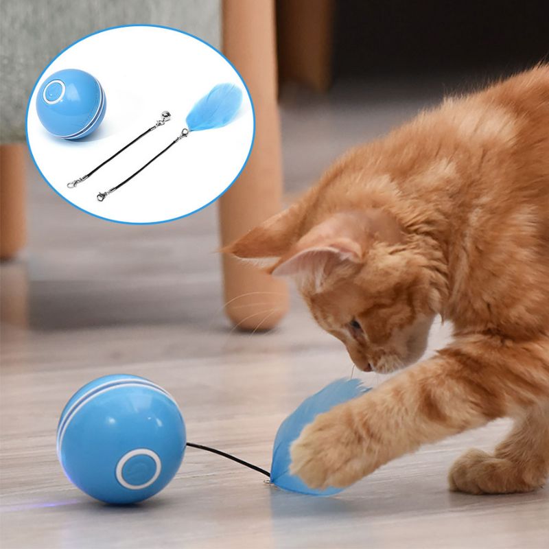 cat ball toy with feather - Cute Cats Store