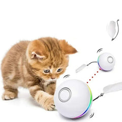 cat ball toy - Cute Cats Store