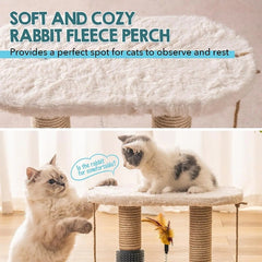 cat perches - Cute Cats Store
