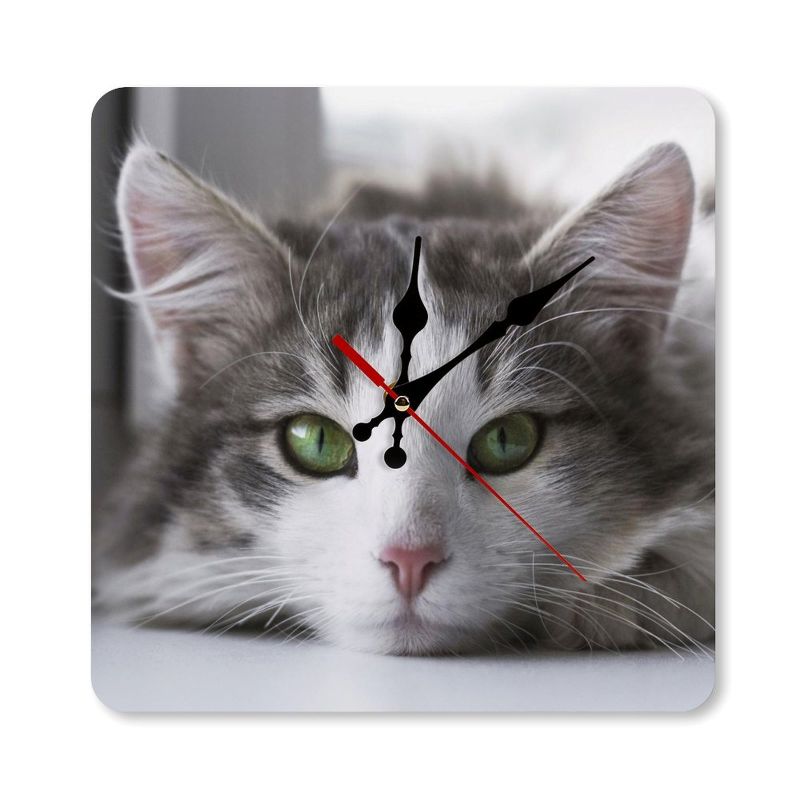 Cat-themed clock with a gray and white cat's face