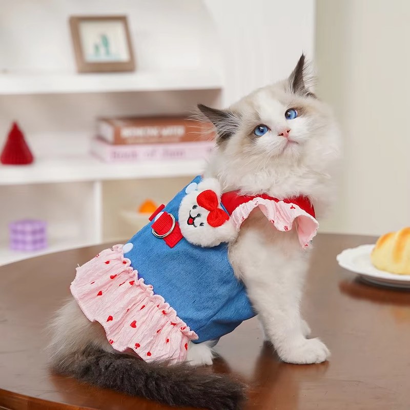 Cat wearing a blue and pink outfit with a red bow on a wooden table.