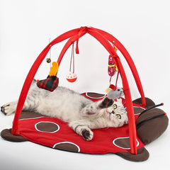 cat play mat - Cute Cats Store