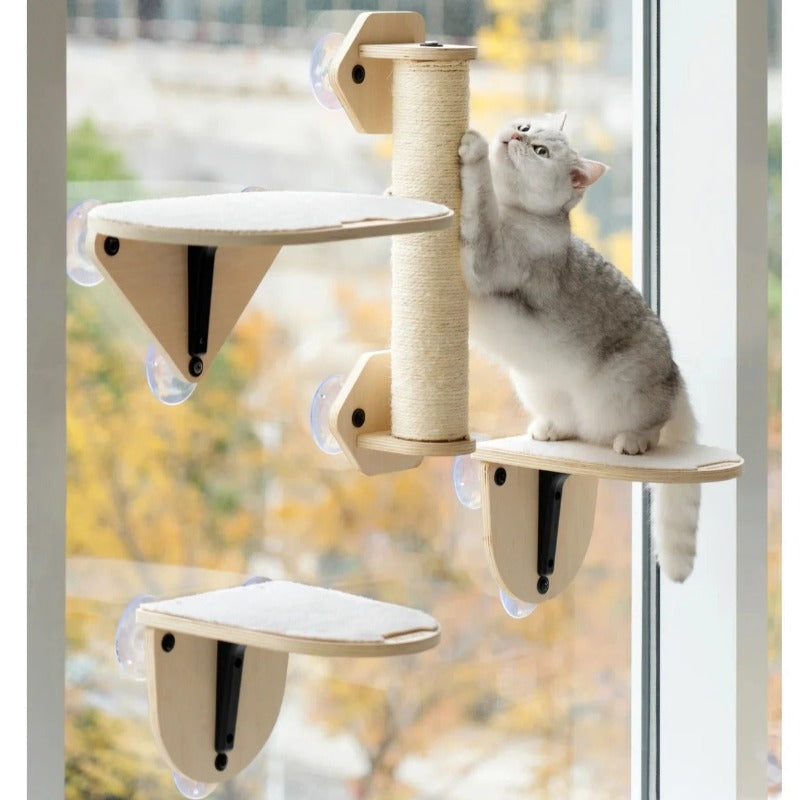 cat window perch - Cute Cats Store