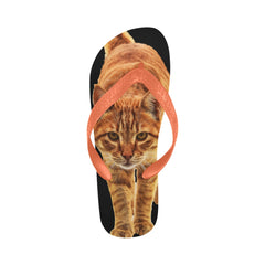 Red Cat Flip Flops Cat Lover Gifts