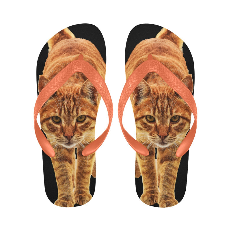 Cat Lovers Flip Flops - Cute Cats Store